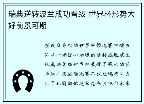 瑞典逆转波兰成功晋级 世界杯形势大好前景可期