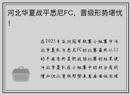 河北华夏战平悉尼FC，晋级形势堪忧！